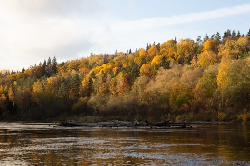 How to Save a Preset in Lightroom: A Faster Workflow for Professional Photographers