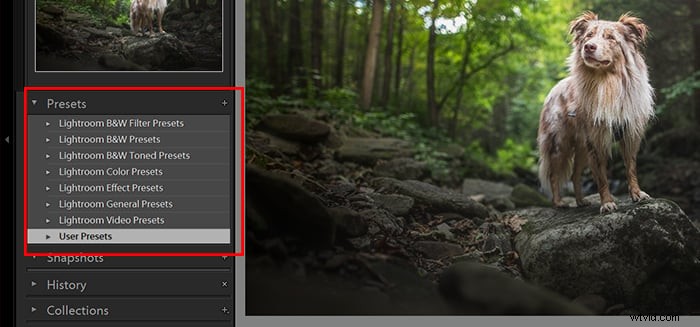 Master Lightroom Presets: A Step-by-Step Guide to Photo Editing