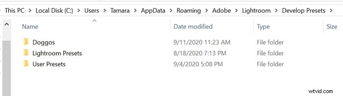 Master Lightroom Presets: A Step-by-Step Guide to Photo Editing