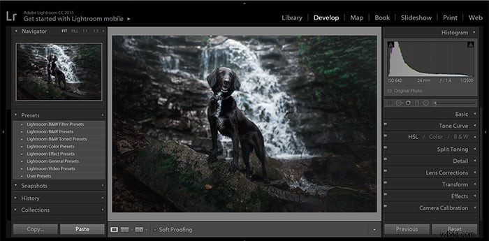 Master Lightroom Presets: A Step-by-Step Guide to Photo Editing