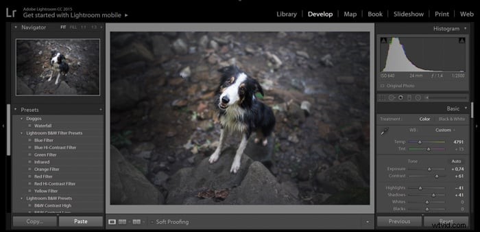 Master Lightroom Presets: A Step-by-Step Guide to Photo Editing