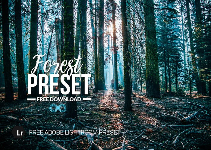 25 Free Lightroom Portrait Presets for Stunning Photos | 2024