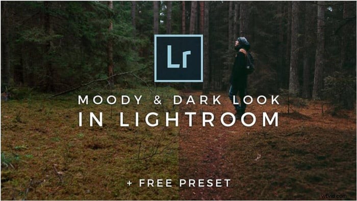 25 Free Lightroom Portrait Presets for Stunning Photos | 2024