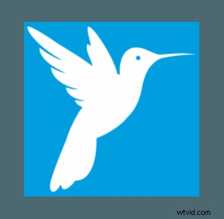 Top 7 Noise Reduction Software for Stunning Photography in 2024