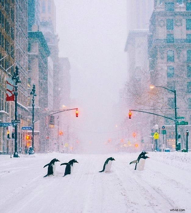 Top 33 Photo Manipulation Artists to Follow in 2026 – Masterclass Insights