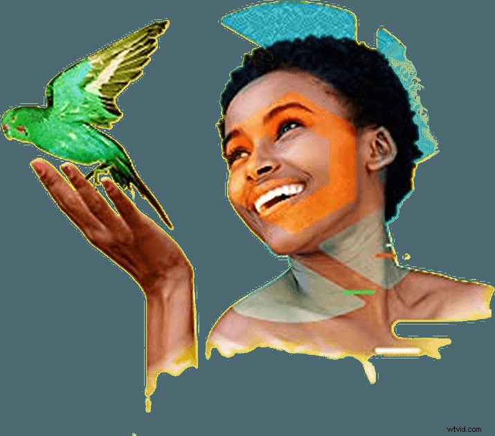 Top Photo Management Software in 2026 – Expert Review & Recommendations