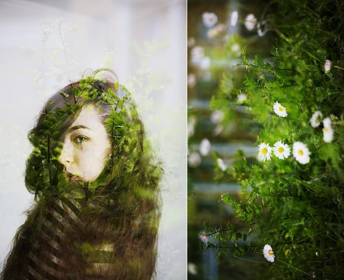 What Is a Photo Series? 13 Creative Ideas to Elevate Your Photography