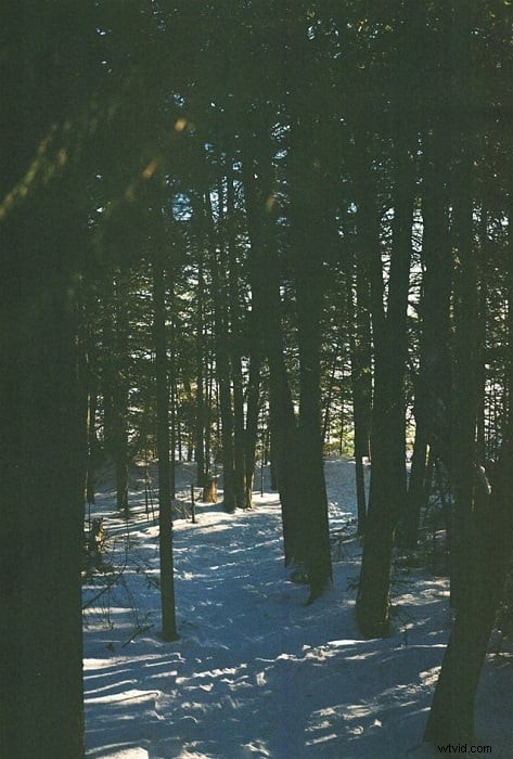 Film vs. Digital Photography: A Comprehensive Comparison