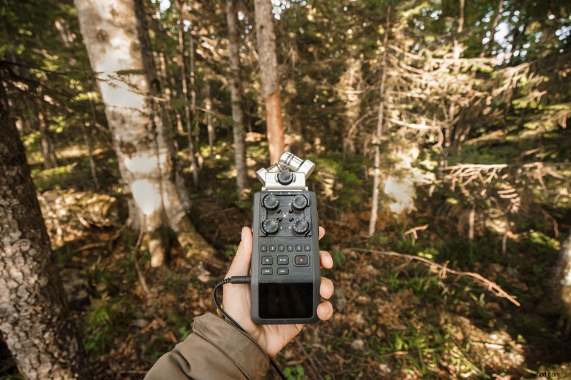 Top 5 Field Recorders for Professional Audio Recording