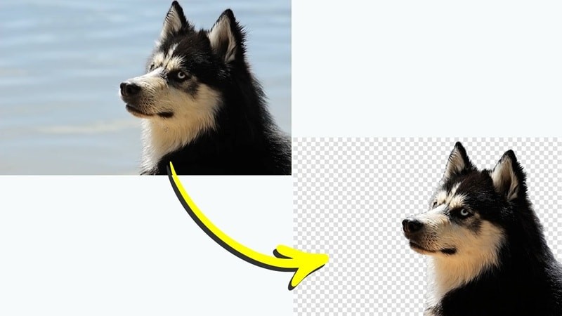 Transparent Backgrounds in GIMP: A Beginner s Guide