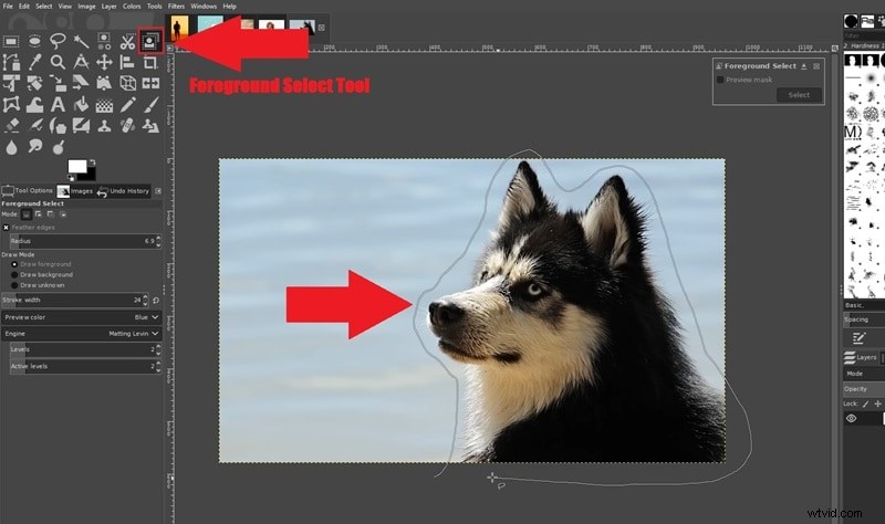 Transparent Backgrounds in GIMP: A Beginner s Guide