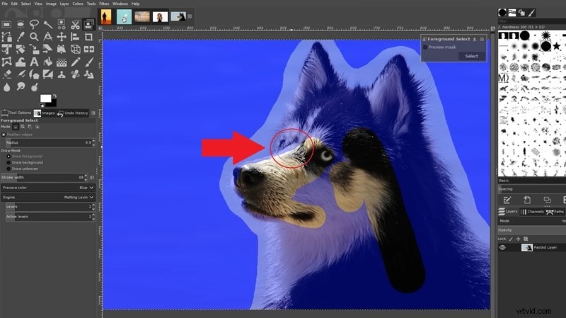 Transparent Backgrounds in GIMP: A Beginner s Guide