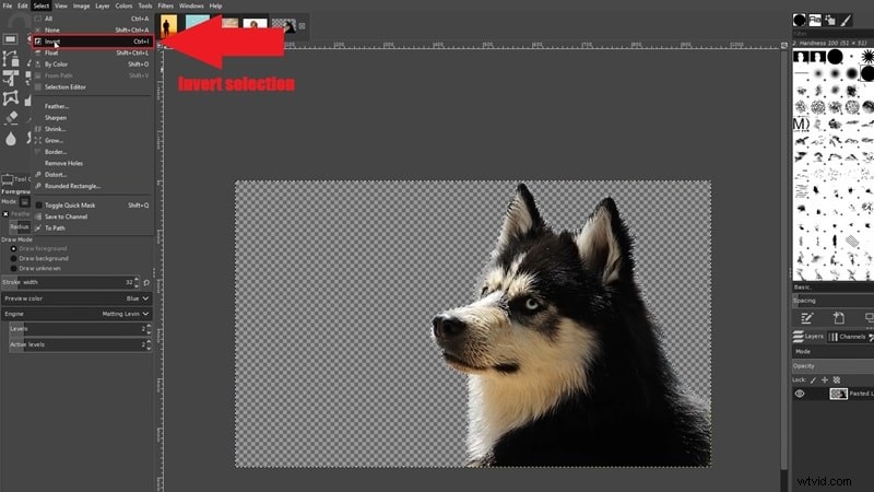 Transparent Backgrounds in GIMP: A Beginner s Guide