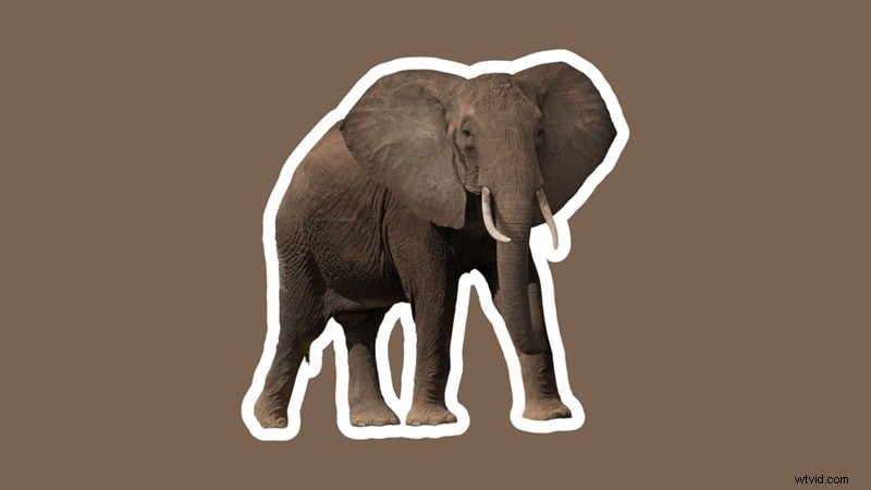 Canva: Add a White Outline to Images - Easy Step-by-Step Guide