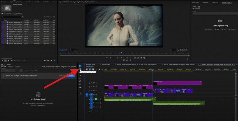 Premiere Pro Track Select Tool: Master Clip Synchronization & Efficient Editing