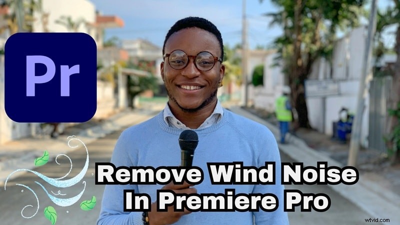 Eliminate Wind Noise in Premiere Pro: 4 Effective Techniques