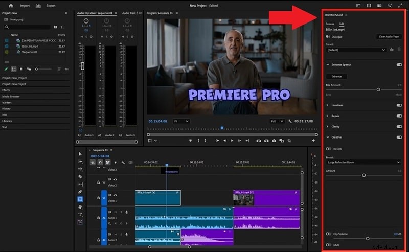 Eliminate Wind Noise in Premiere Pro: 4 Effective Techniques