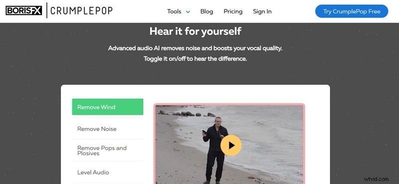 Eliminate Wind Noise in Premiere Pro: 4 Effective Techniques