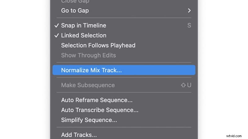 Master Audio Normalization in Premiere Pro: Fix Uneven Volume Quickly