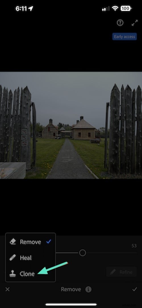 Adobe Lightroom: Expert Red-Eye Removal & Advanced Techniques