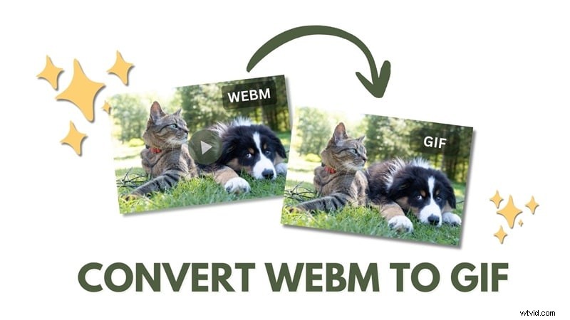 Convert WebM to GIF: Top 6 Free & Reliable Online Tools
