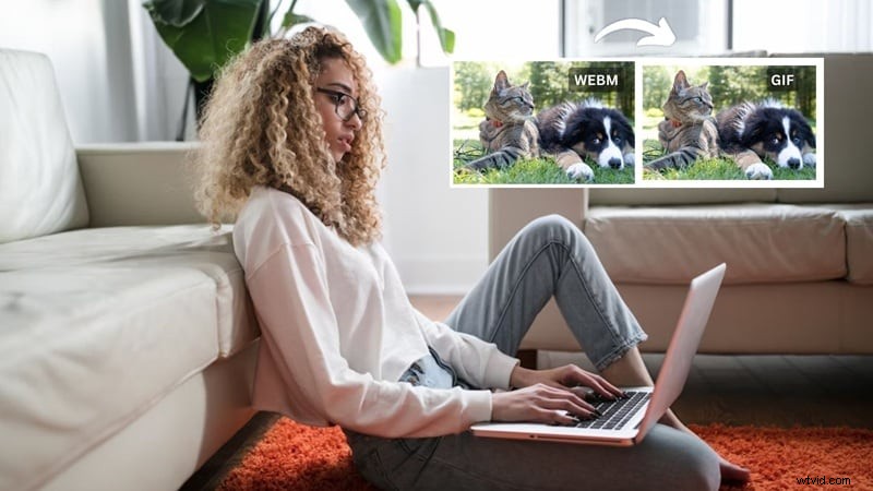 Convert WebM to GIF: Top 6 Free & Reliable Online Tools