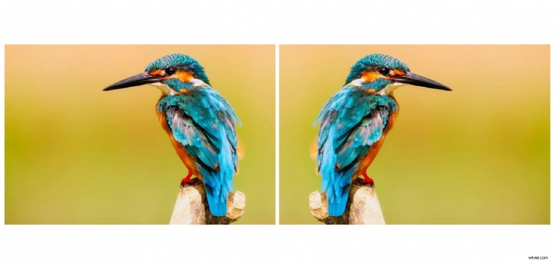 Free Online Video Flips: Horizontal & Vertical Rotation Tools (2024)