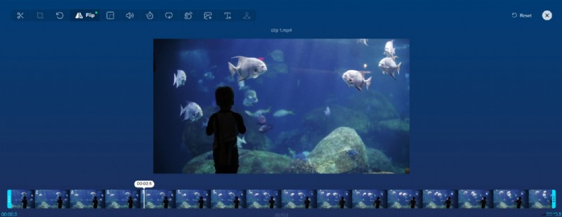 Free Online Video Flips: Horizontal & Vertical Rotation Tools (2024)