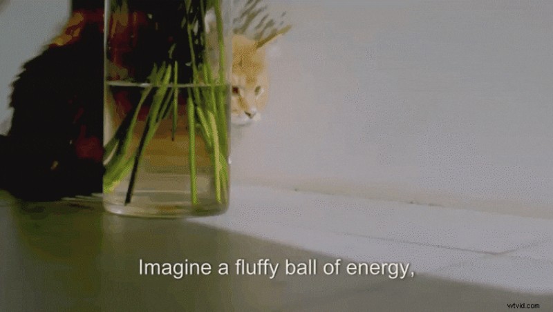 Best AI Video Editors 2024: Top Tools for Faster, Professional Results