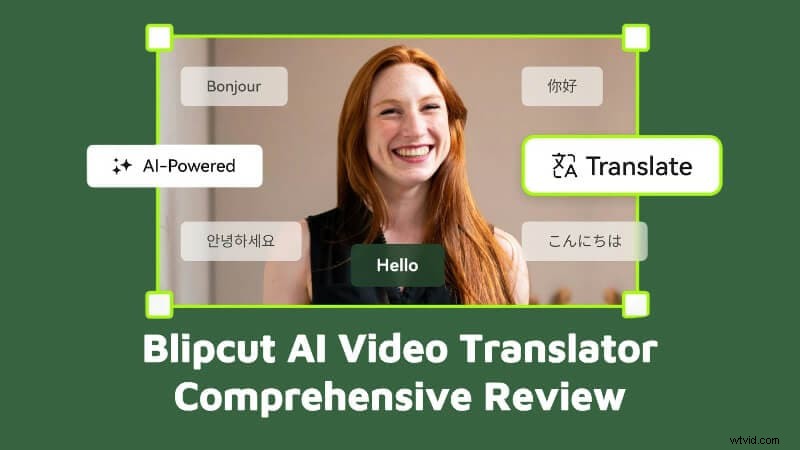 BlipCut AI Video Translator Review: Features, Performance & Alternatives (2024)