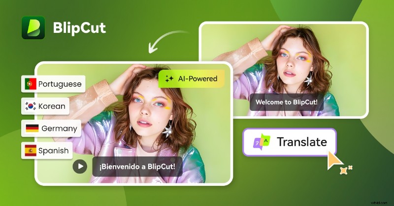 BlipCut AI Video Translator Review: Features, Performance & Alternatives (2024)