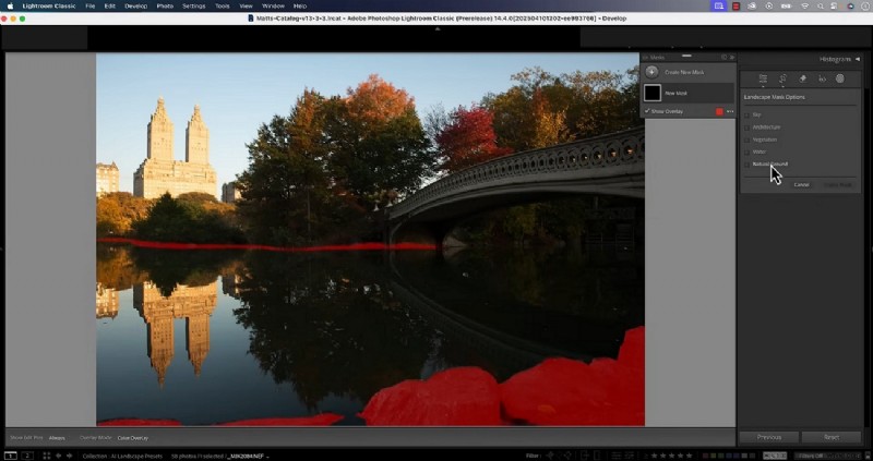 Adobe Lightroom Review: Features, Pros & Best Alternatives for Photographers