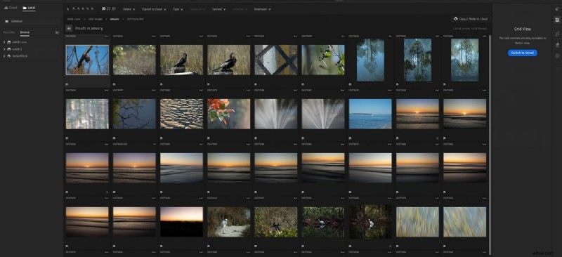 Adobe Lightroom Review: Features, Pros & Best Alternatives for Photographers