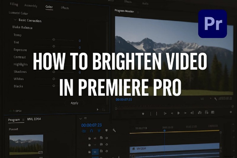 Brighten Dark Videos in Premiere Pro: A Comprehensive Guide [2024]