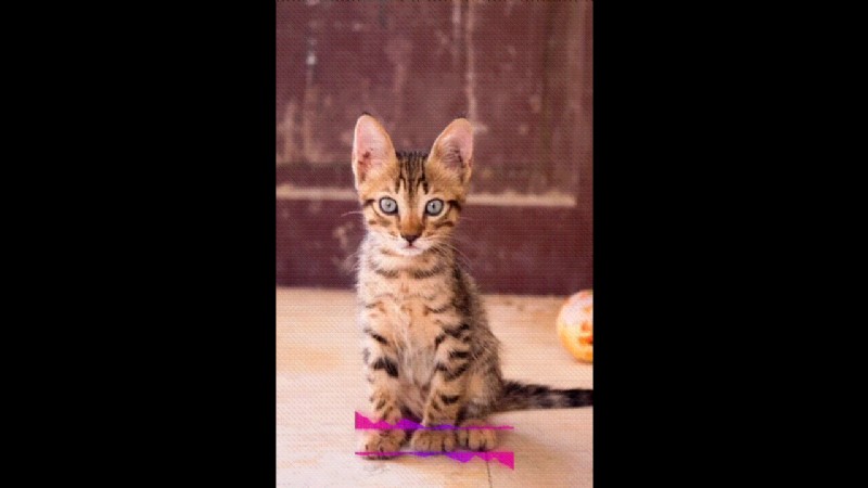 Best Funny Video Maker Apps 2024: Create Viral Content!