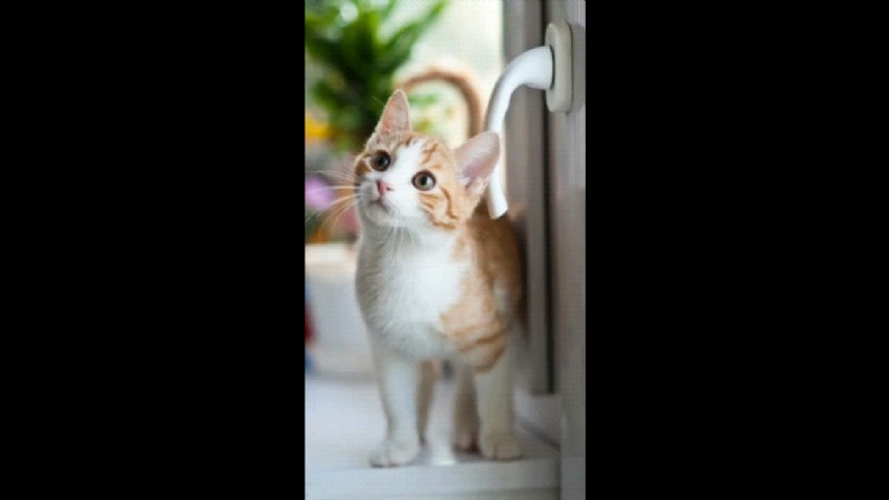 Best Funny Video Maker Apps 2024: Create Viral Content!