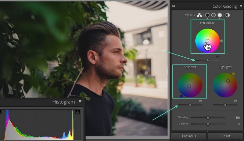 Mastering Color Grading in Lightroom: Techniques, Tools, and Workflow for Cinematic Photography