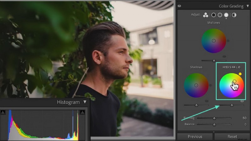 Mastering Color Grading in Lightroom: Techniques, Tools, and Workflow for Cinematic Photography