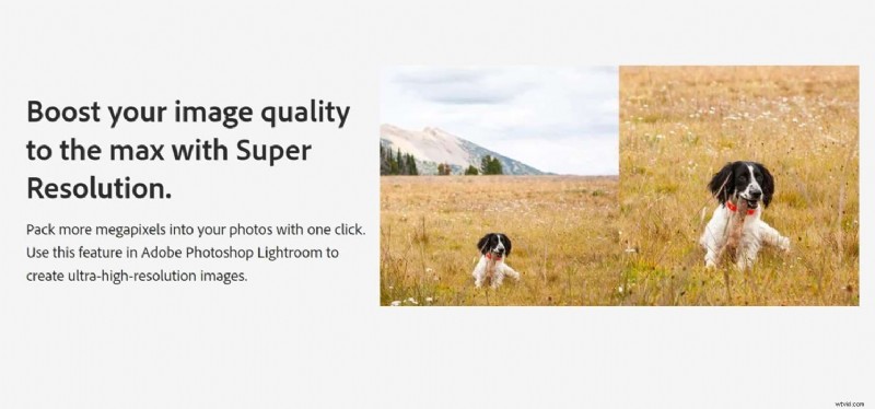 Top Remini Alternatives: Enhance Photos & Videos on iPhone & Android