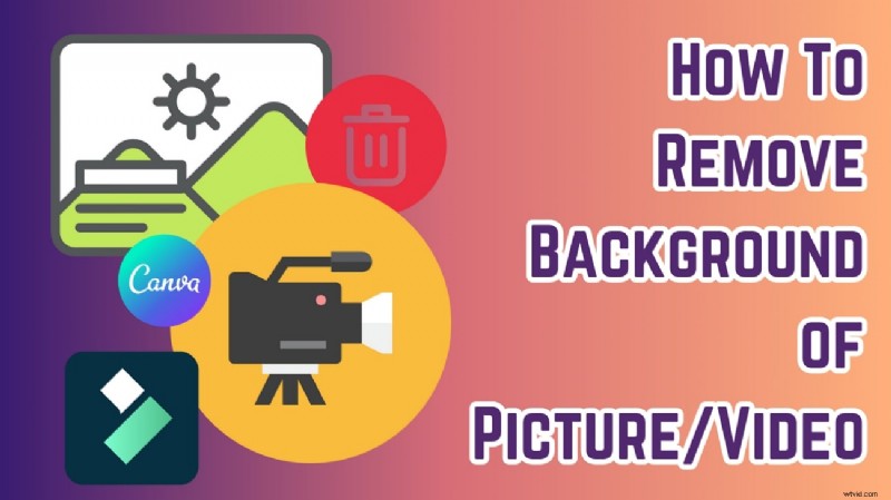 Canva Background Removal: A Step-by-Step Guide for Mobile