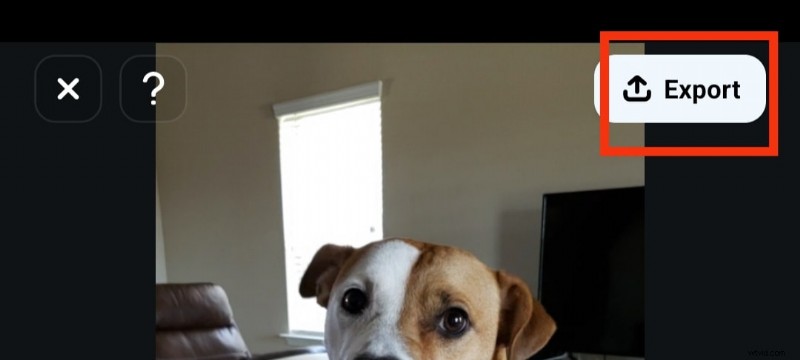 Triller: Features, How to Use & Create Engaging Videos