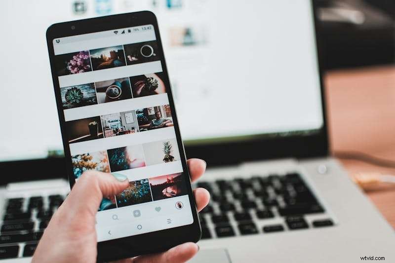 VSCO: A Comprehensive Guide to Filters, Tools & Alternatives