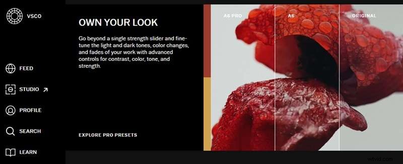 VSCO: A Comprehensive Guide to Filters, Tools & Alternatives