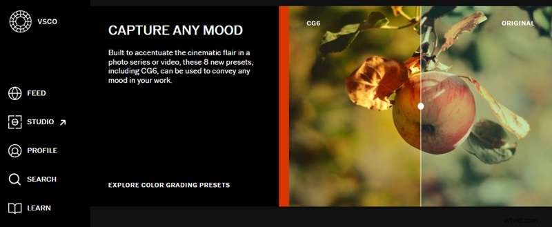 VSCO: A Comprehensive Guide to Filters, Tools & Alternatives
