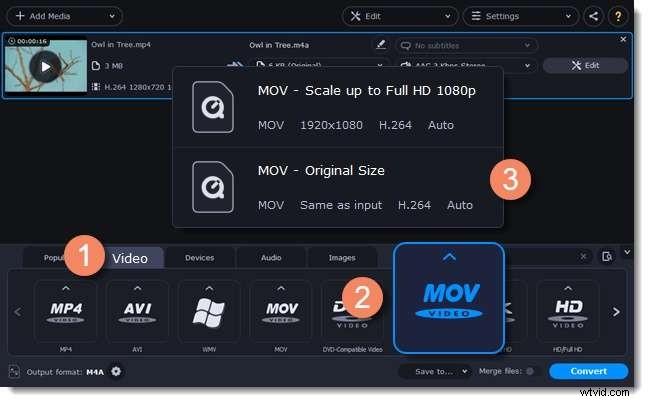 Movavi Video Editor Review – Features, Pricing, and Alternatives