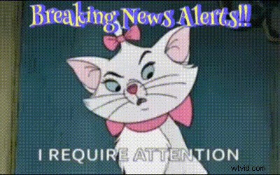 Best Discord GIF Makers: Create & Share Engaging Reactions