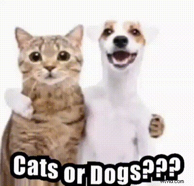 Best Discord GIF Makers: Create & Share Engaging Reactions