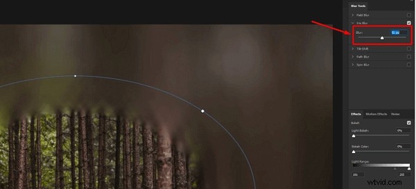 Mastering Blur Effects in Photoshop: Faces, Backgrounds & More