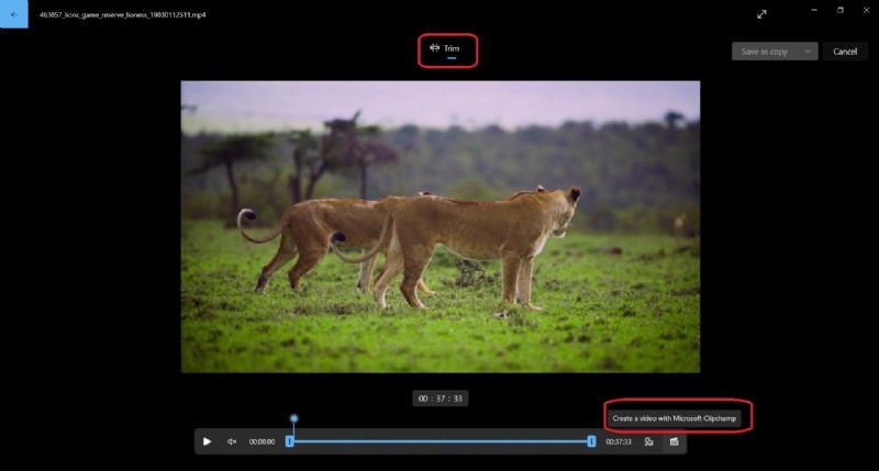Windows 11 Video Editors: Native Tools & Best Alternatives
