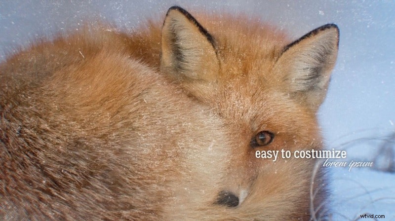 Free After Effects Slideshow Templates (2024) - Create Stunning Visuals